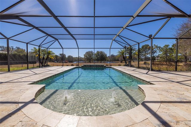 17253 BREEDERS CUP DRIVE, Odessa, FL 33556