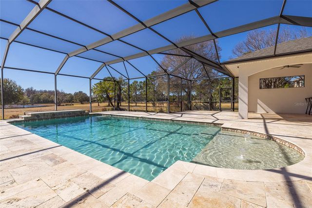 17253 BREEDERS CUP DRIVE, Odessa, FL 33556