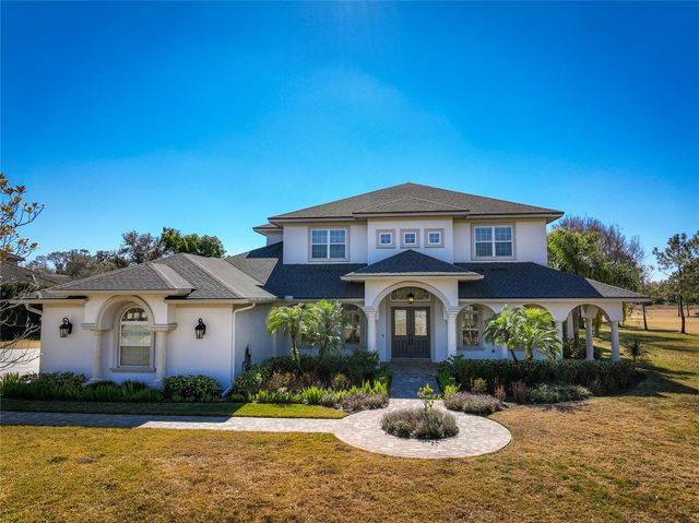 17253 BREEDERS CUP DRIVE, Odessa, FL 33556