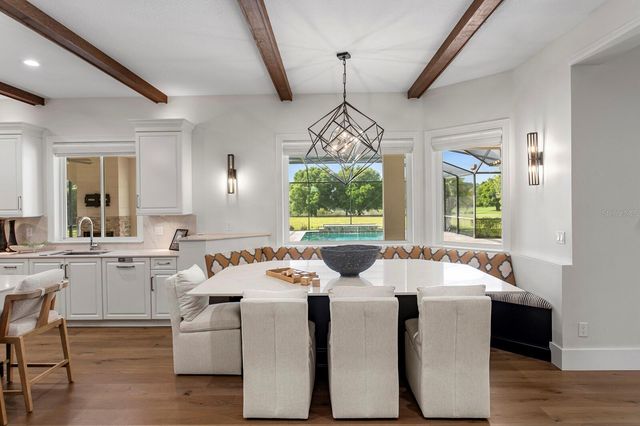 17253 BREEDERS CUP DRIVE, Odessa, FL 33556