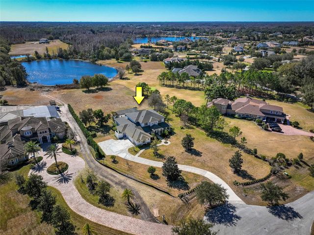 17253 BREEDERS CUP DRIVE, Odessa, FL 33556