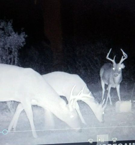 Lot Antioch Cemetery 17.11 Acres Road, Ponce De Leon, FL 32455