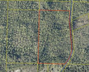 Lot Antioch Cemetery 17.11 Acres Road, Ponce De Leon, FL 32455