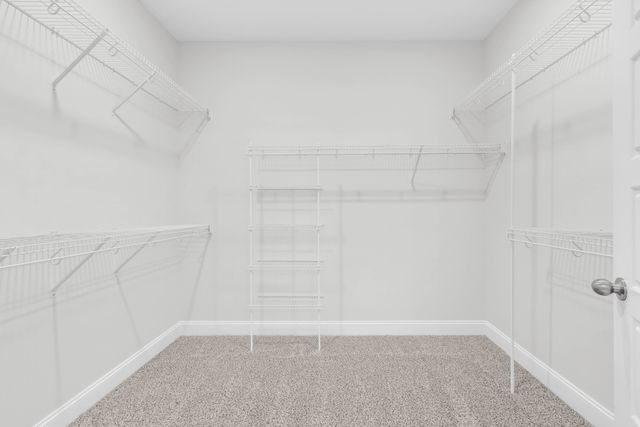 516 Ayden Ln, Clarksville, TN 37042